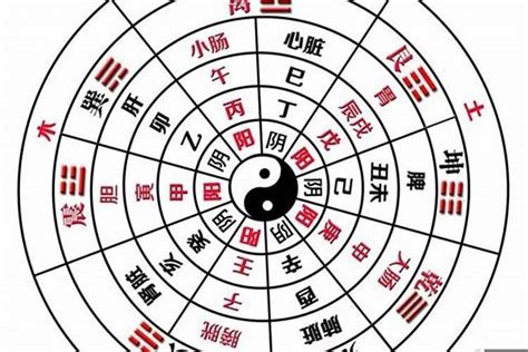 全阳八字|八字纯阳和全阳的区别 (八字中阳和阴性的吉凶)